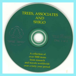 modern arboriculture shigo pdf