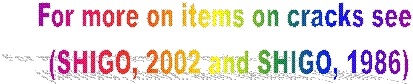 For more on items on cracks see 
(SHIGO, 2002 and SHIGO, 1986)