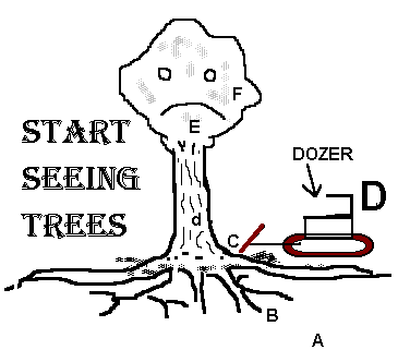 Download the graphic.