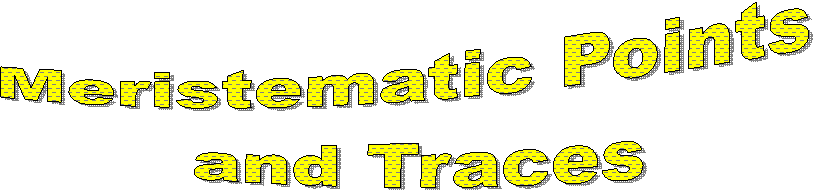 Meristematic Points 
and Traces