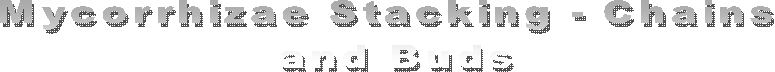 Mycorrhizae
 Stacking -
 Chains 
and Buds