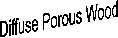 Diffuse Porous Wood